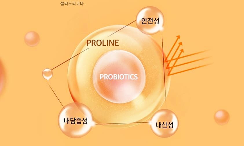 종근당락토핏생유산균