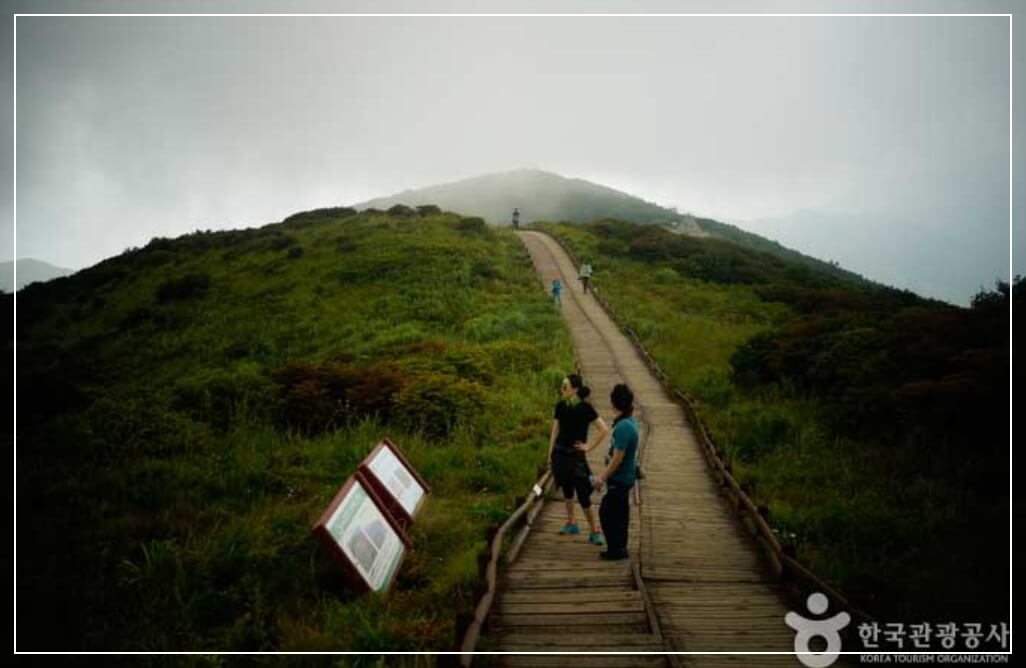 구례 가볼만한곳 베스트10 노고단