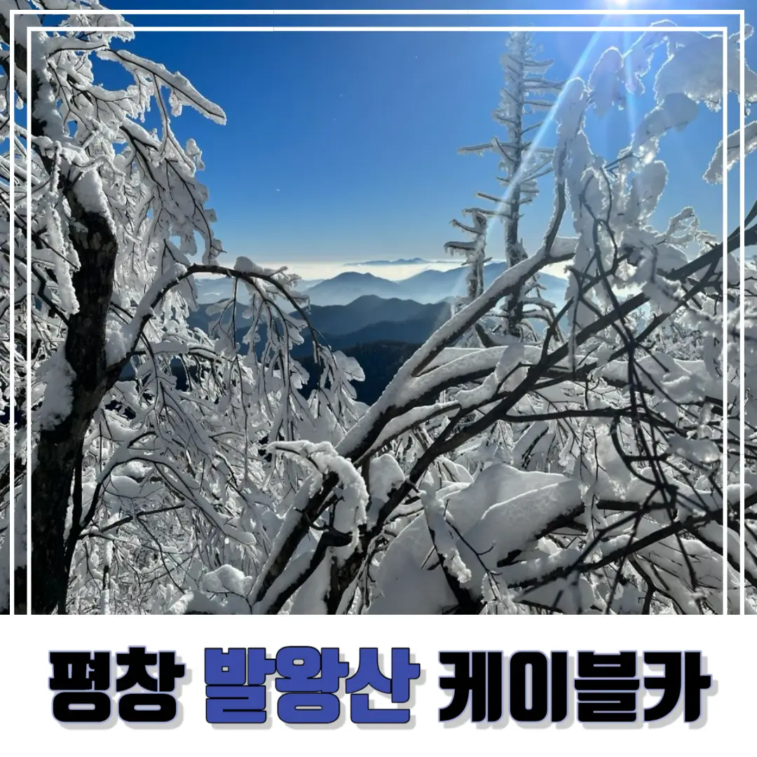발왕산-케이블카-썸네일