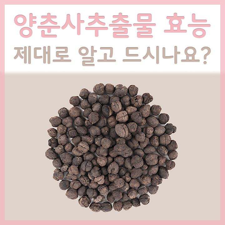 양춘사추출물