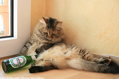 우울증에 좋은 음식 vs 우울증에 안좋은 음식 나쁜 음식