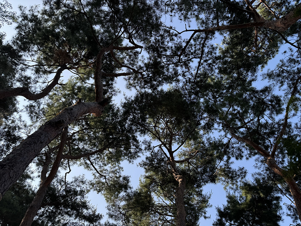 의정부 나크타(NAKTA)