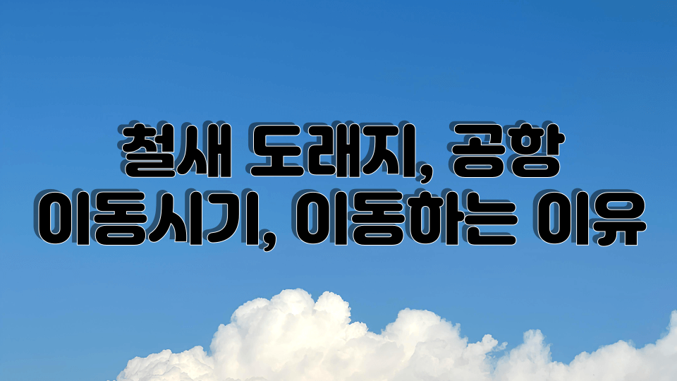 철새