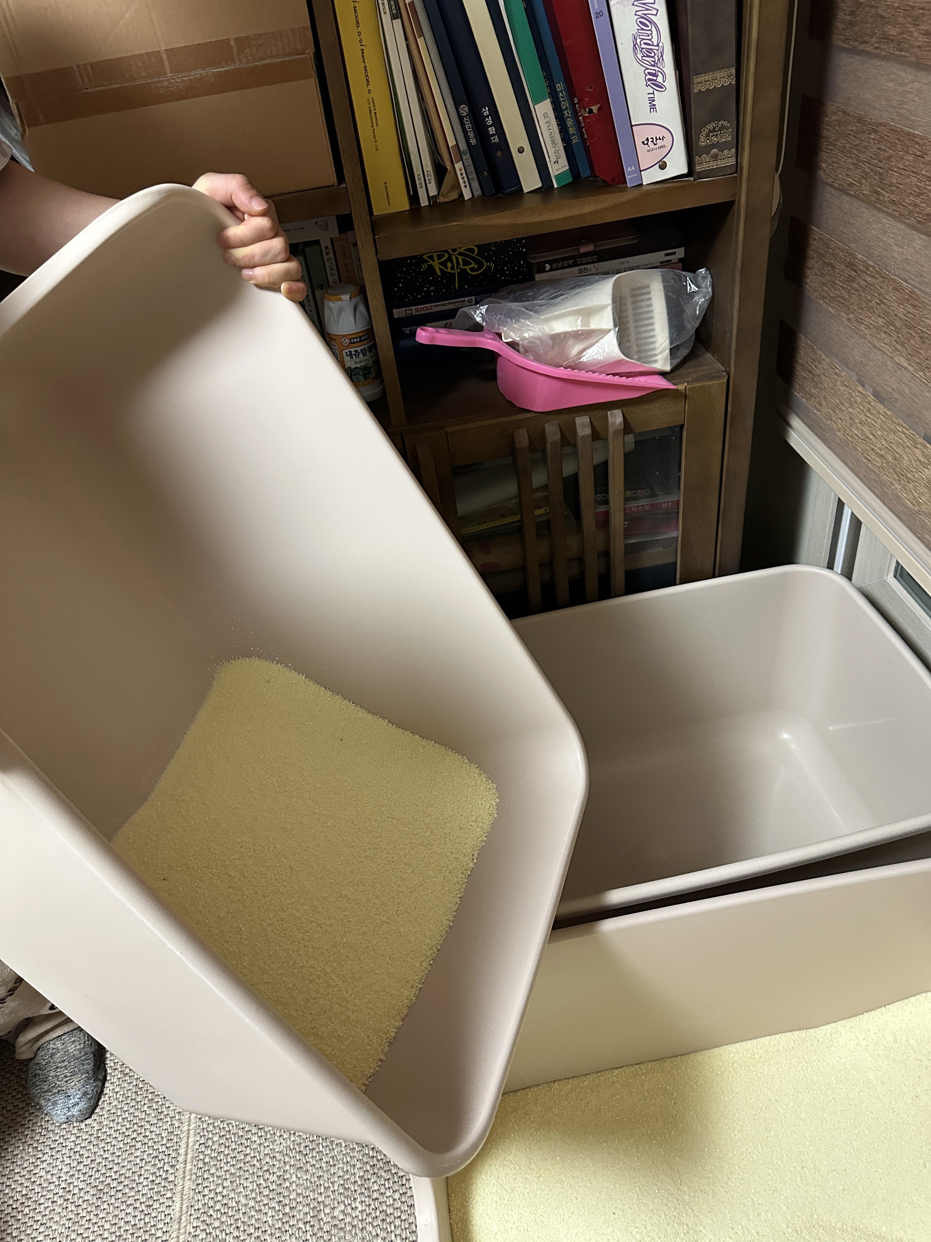 냥냥이들 화장실을 교체했다!(feat.화장실을 교체 해야 하는 이유)