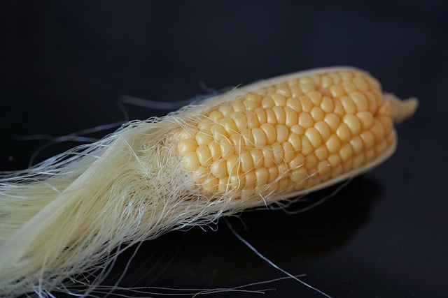 옥수수 보관방법