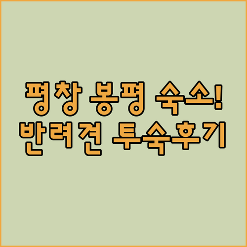 평창 봉평면 반려동물 동반 숙소 베스..