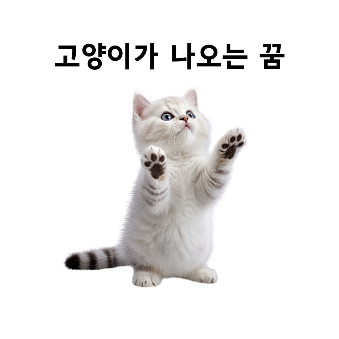 고양이 꿈에 나옴 고양이꿈 해석