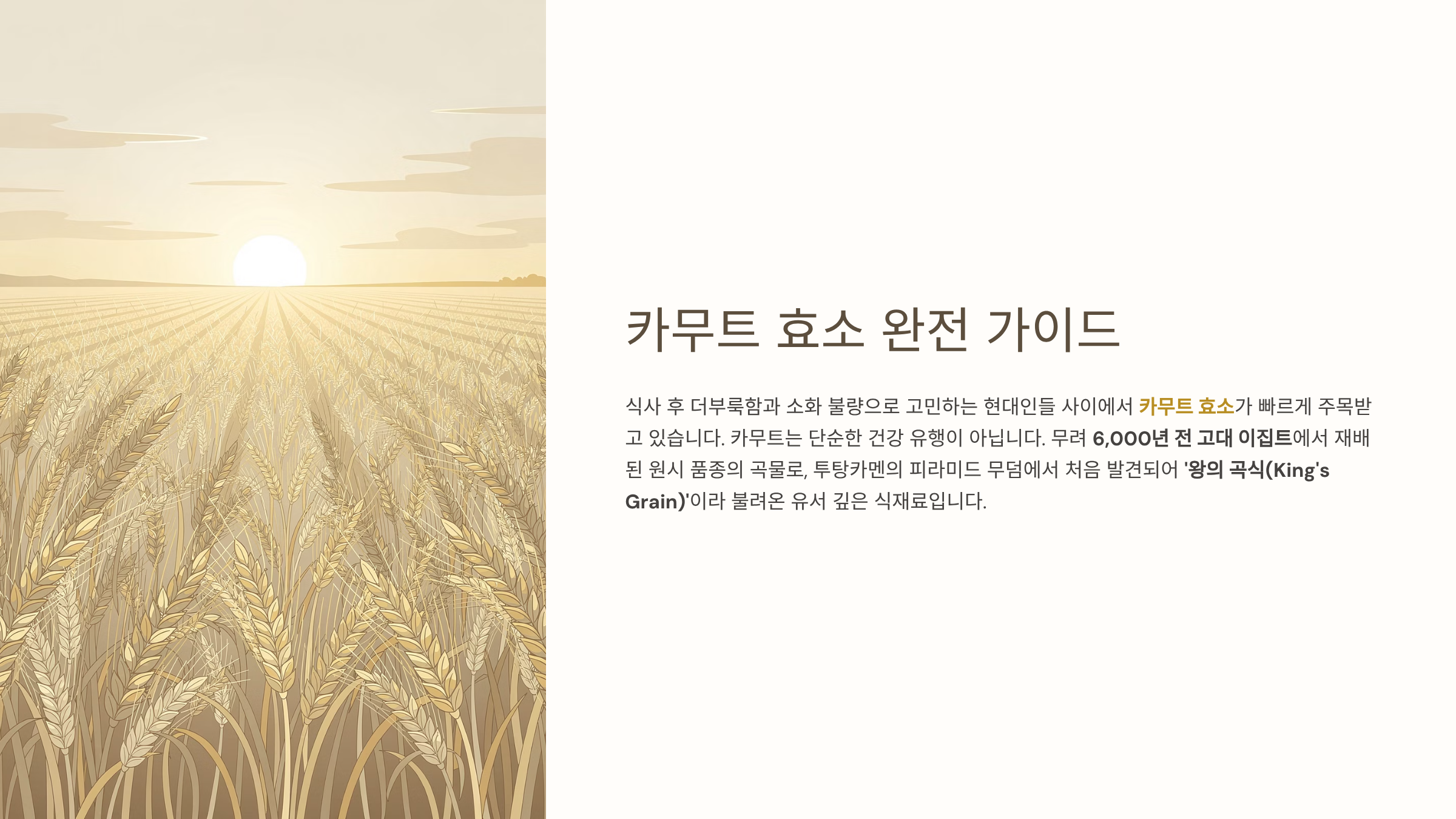 카무트 효소 효능 완전정리 투탕카멘 무덤에서 발견된 왕의 곡식, 왜 건강에 좋을까