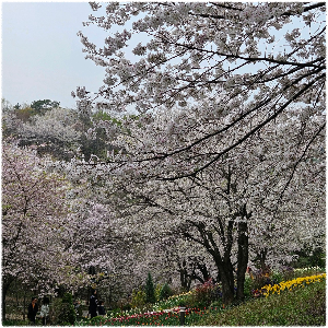 남산