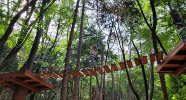 부산 도모헌(옛 부산시장 관사)