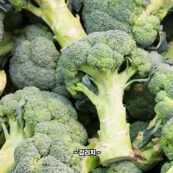 루테인 많은 음식