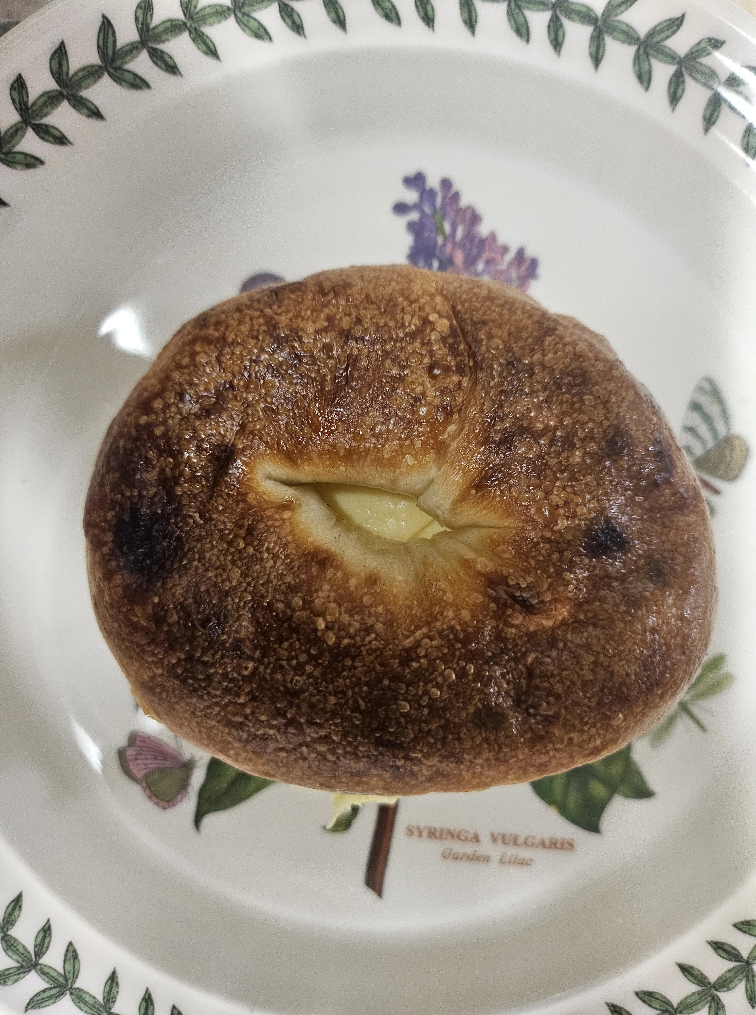 코끼리베이글-버터솔트베이글-접시-따끈한상태-준비