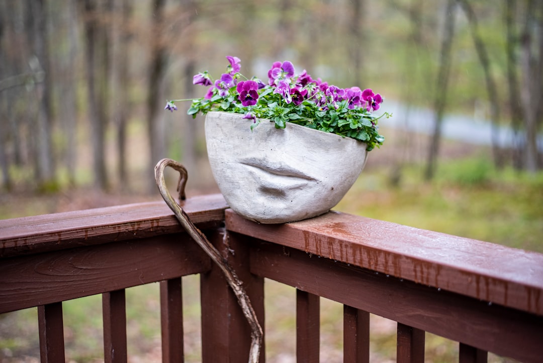 Decoration