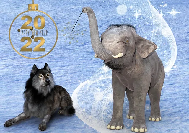 새해 인사말 예시 모음 영어_4