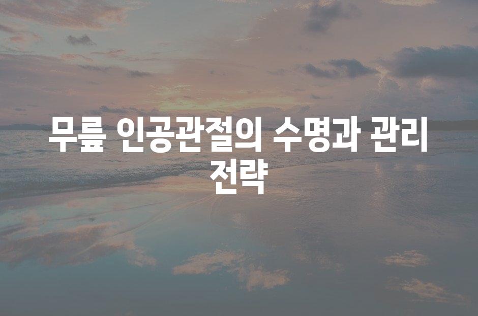 샘플 (81)