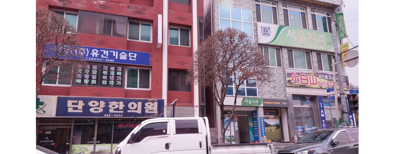 단양군 교정 치과