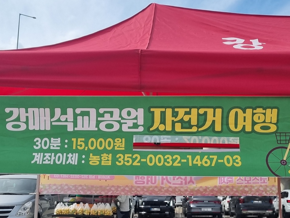 서울 근교 가을꽃 만발한, 경기도 고양시 강매석교공원 창릉천 코스모스축제