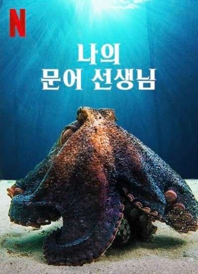 영화 '나의 문어 선생님'의 포스터 사진