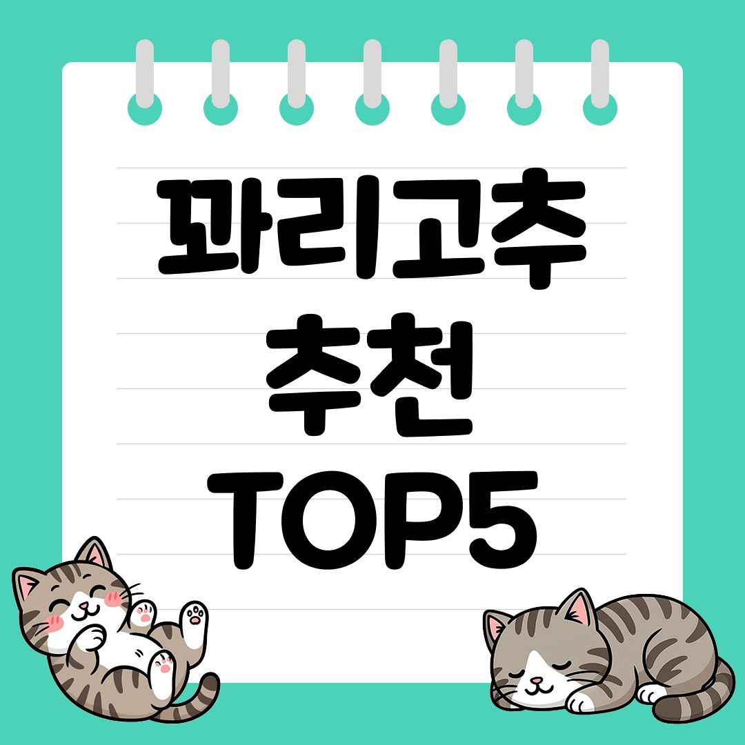 2025년 10월 3주차&nbsp;쿠팡 꽈리고추 추천 순위 TOP5