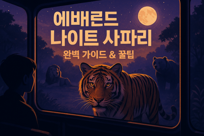 에버랜드-나이트사파리-예약-꿀팁-2025년-완벽-가이드