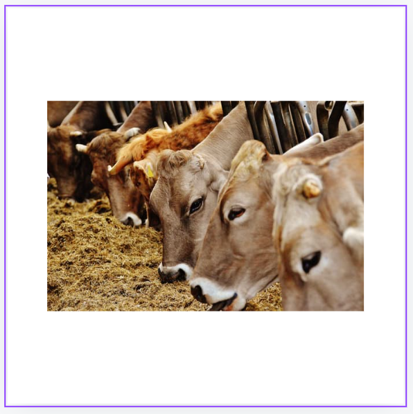 입동 뜻 2024년 입동 날짜 24절기