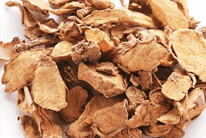 핑거루트 효능05