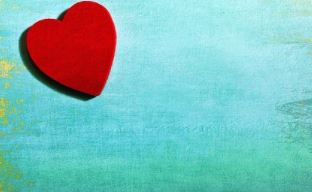 생일축하 메시지 모음
13