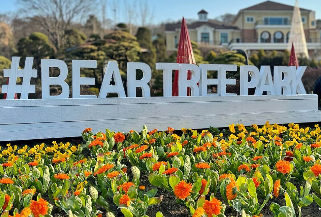 2024 봄꽃축제 가볼 만한 곳 추천