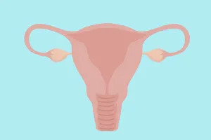 하이푸시술-비용