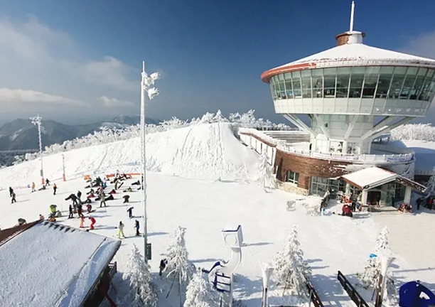 전주 하이원스키장
