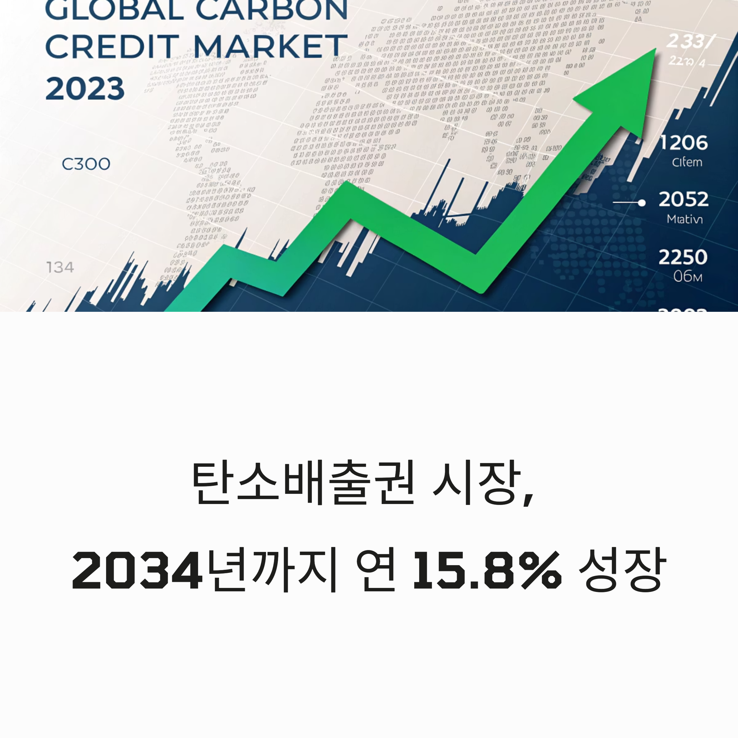 탄소배출권