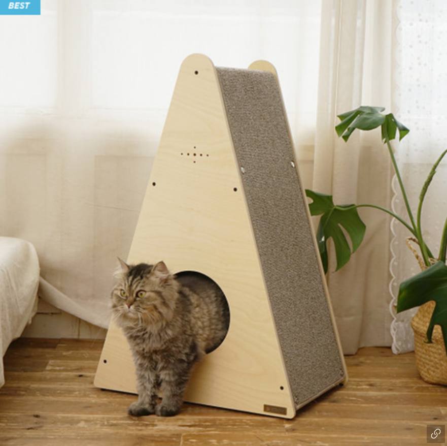 반려인능력시험