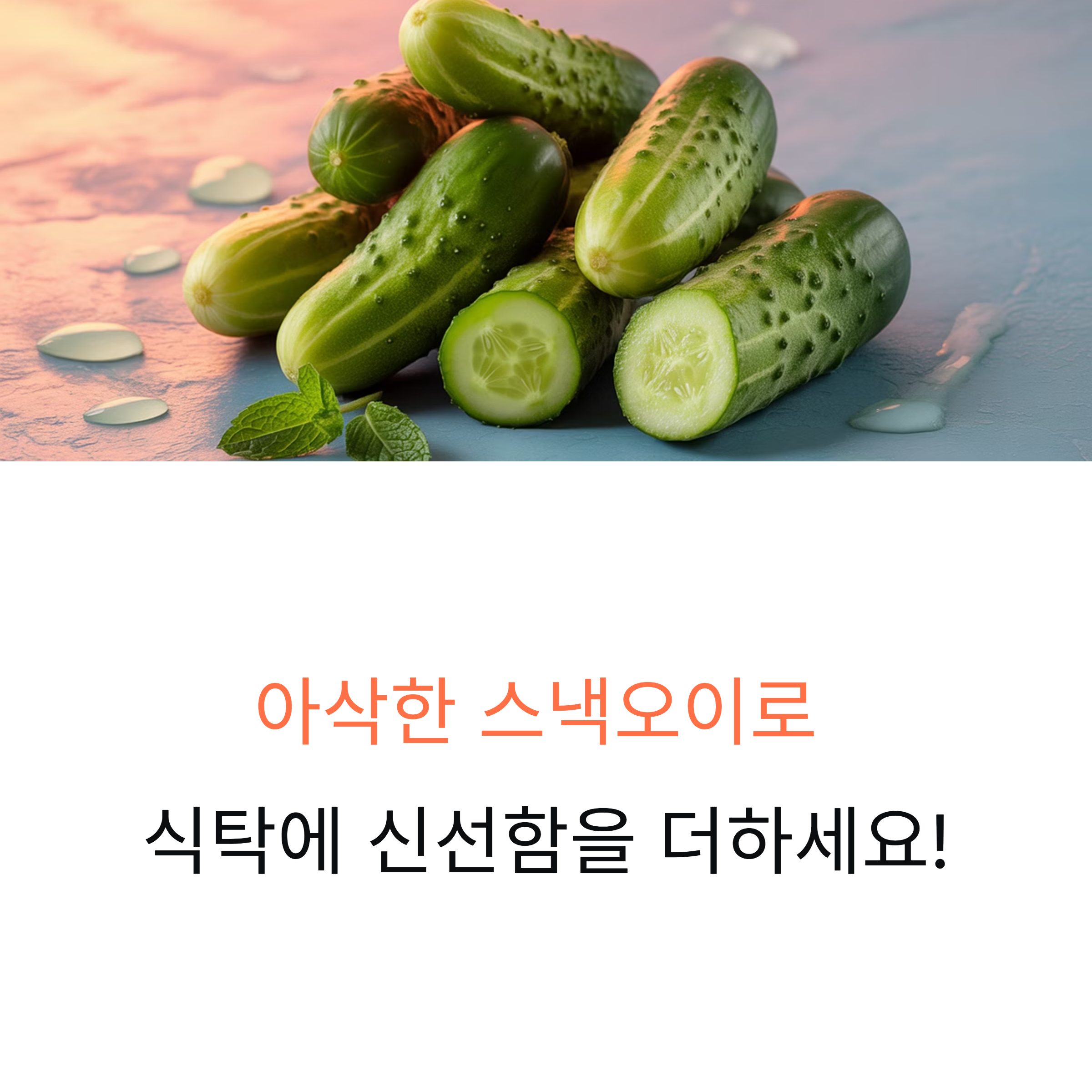 아삭한 스낵오이 미니오이 2kg부터 4kg 가격과 국내산 매력 총정리