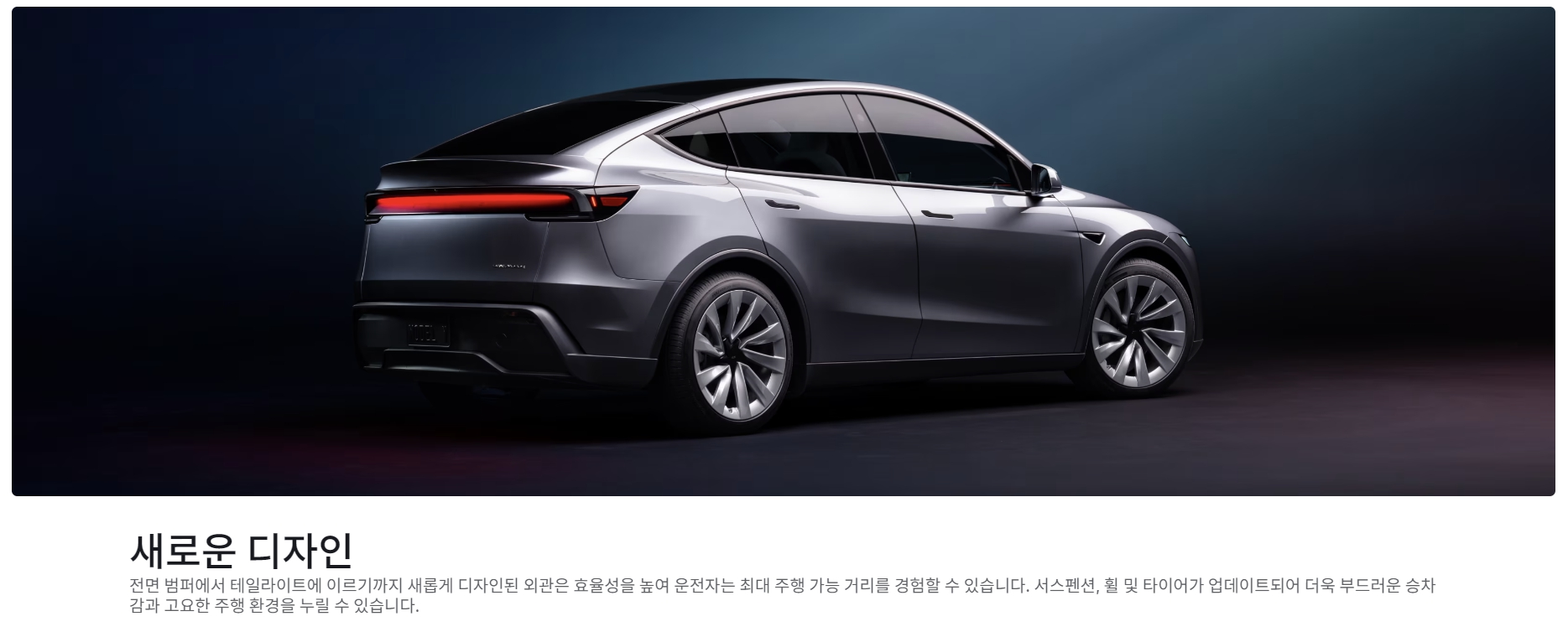 뉴모델Y
