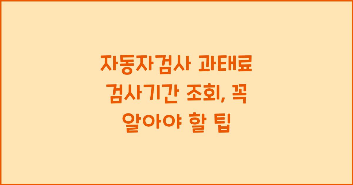 자동자검사 과태료 검사기간 조회