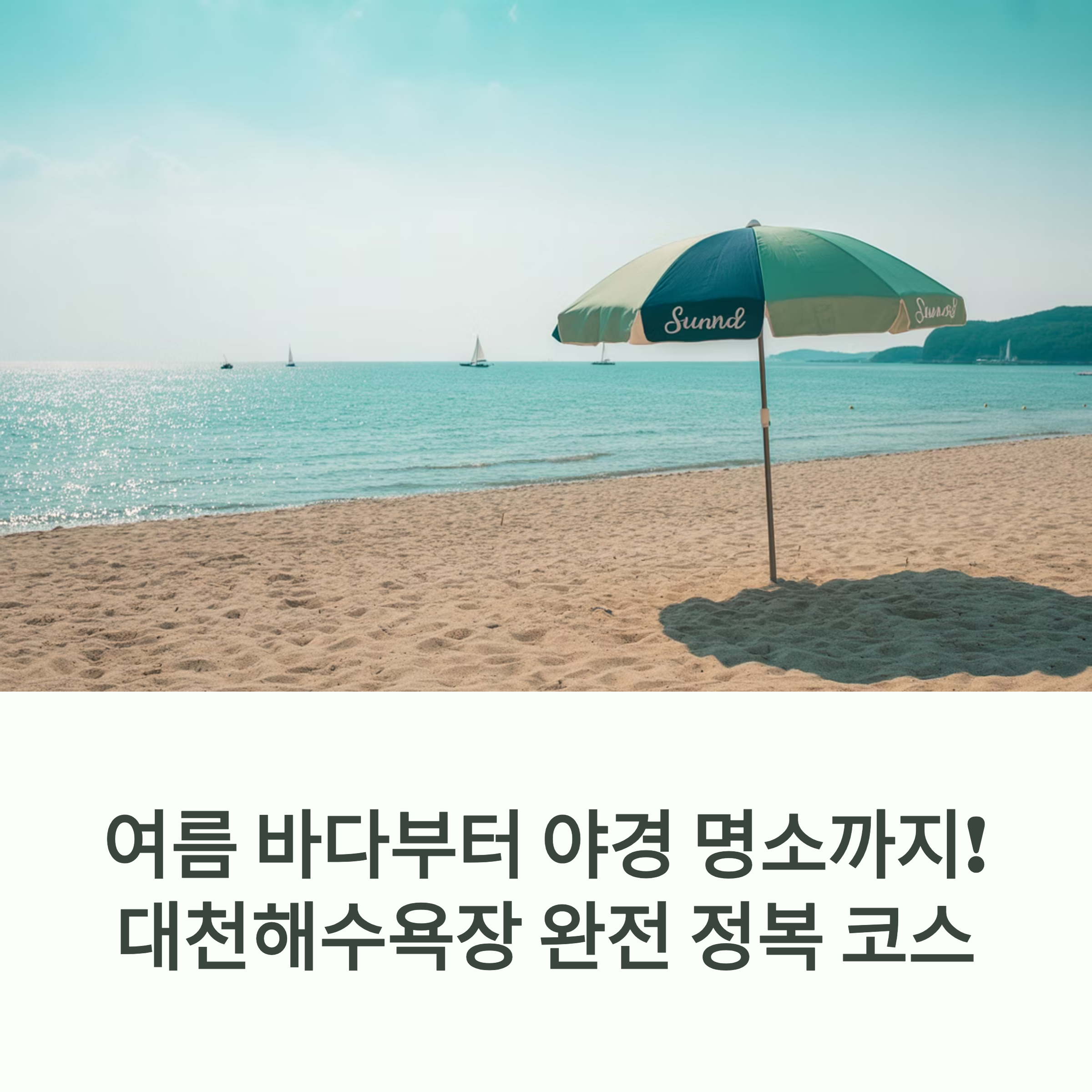 보령 대천해수욕장 제대로 즐기기