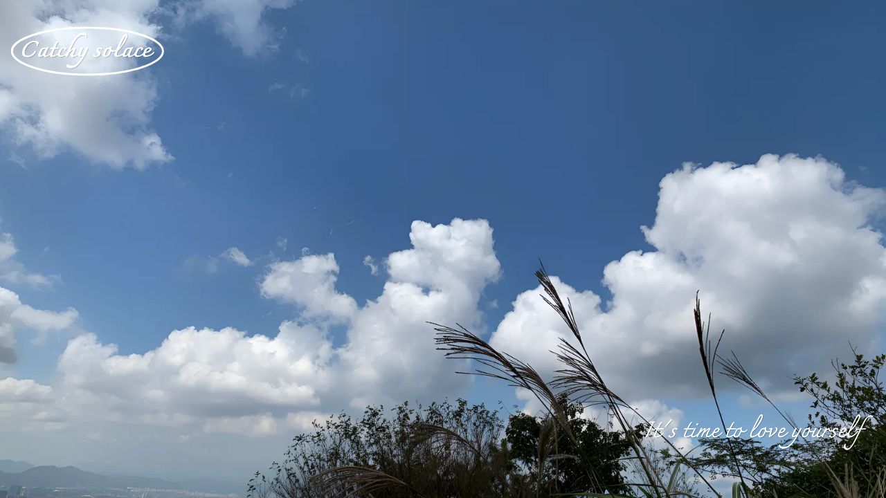 부드러운 기타와 가을의 향기 ❘ Catchy Solace : 코시팅(KST)