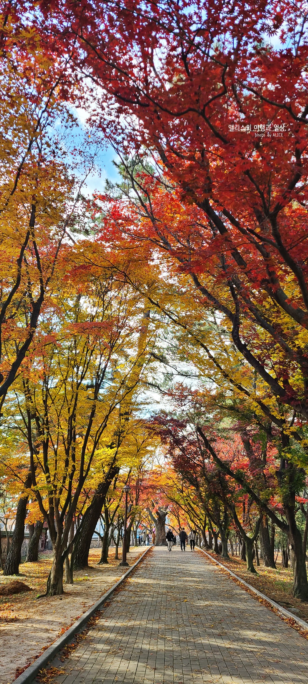 경주 한복입고 사진찍기 좋은 예쁜 장소 BEST 10 대릉원