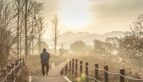 60대-할수-있는-직업