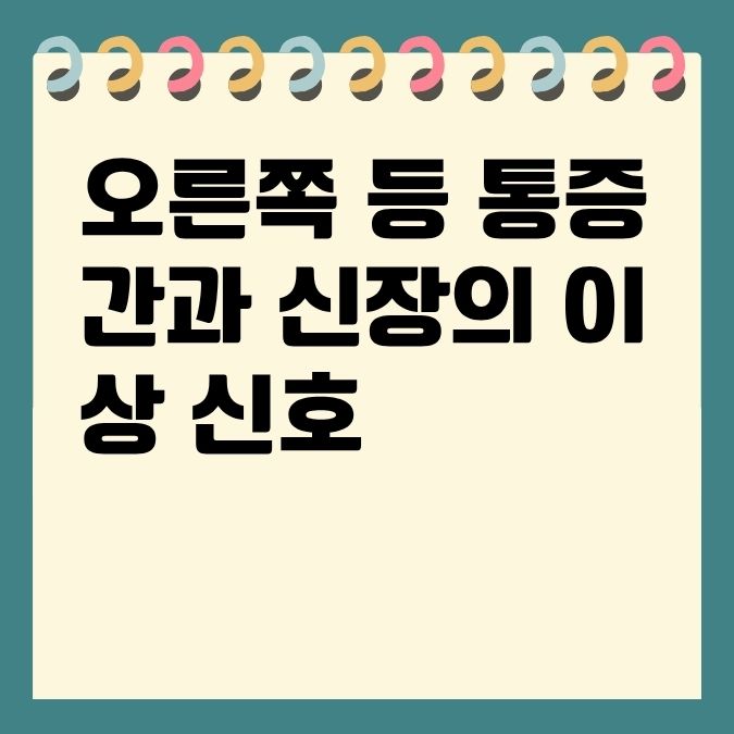 오른쪽 등 통증 간과 신장의 이상 신호