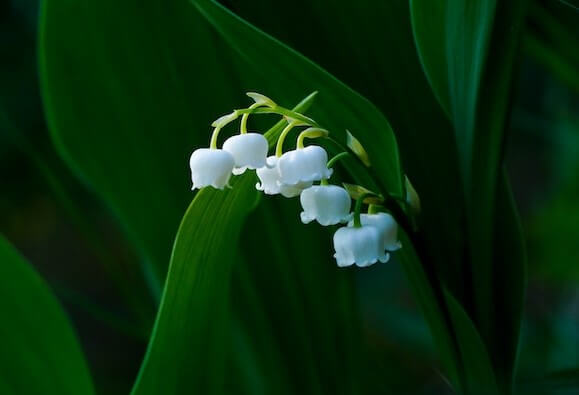 ์๋ฐฉ์ธ๊ฝ ํฌํ