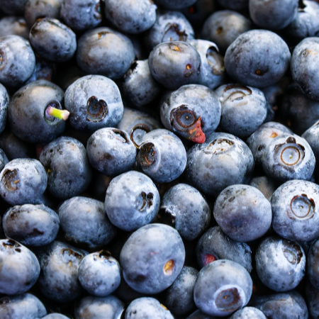 항산화 성분이 풍부한 블루베리