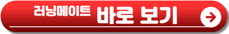 러닝메이트