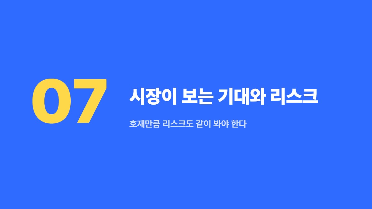 시장이 보는 기대와 리스크 — 호재만큼 리스크도 같이 봐야 한다