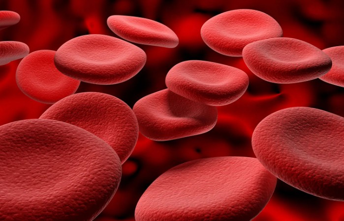 빈혈-원인-빈혈-증상-빈혈-예방