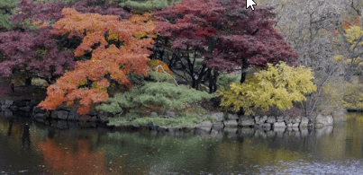 서울근교 단풍 명소 추천