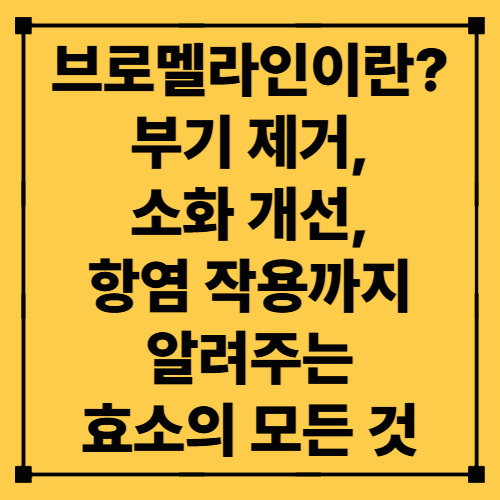 브로멜라인이란? 부기 제거, 소화 개선, 항염 작용까지 알려주는 효소의 모든 것