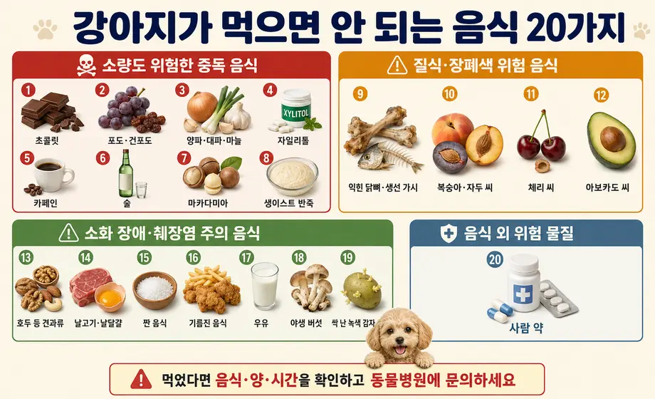 강아지가 먹으면 안 되는 음식 20가지를 중독&middot;장폐색&middot;소화 장애 위험별로 구분한 이미지