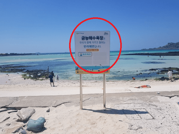 반려해변으로-지정된-금능해수욕장-표지판