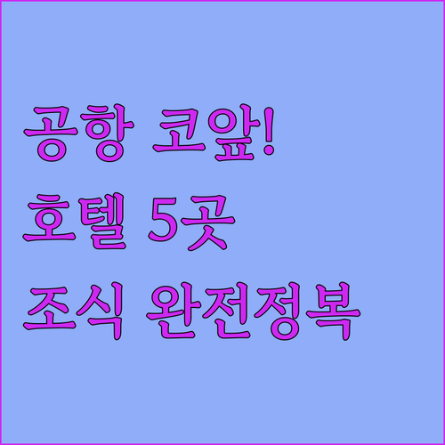 멕시코시티 공항 근처 호텔 5곳 위치..
